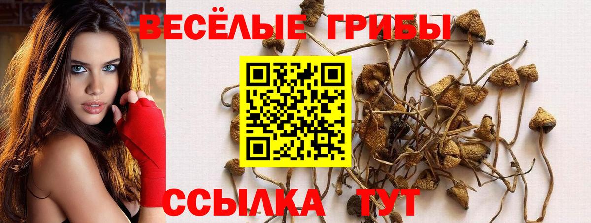 Псилоцибиновые грибы мухоморы Горно-Алтайск