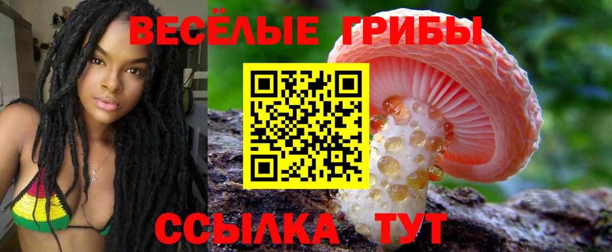 Горно-Алтайск  Псилоцибиновые грибы Psilocybe  Псилоцибиновые грибы Psilocybine cubensis  Вход с VPN 